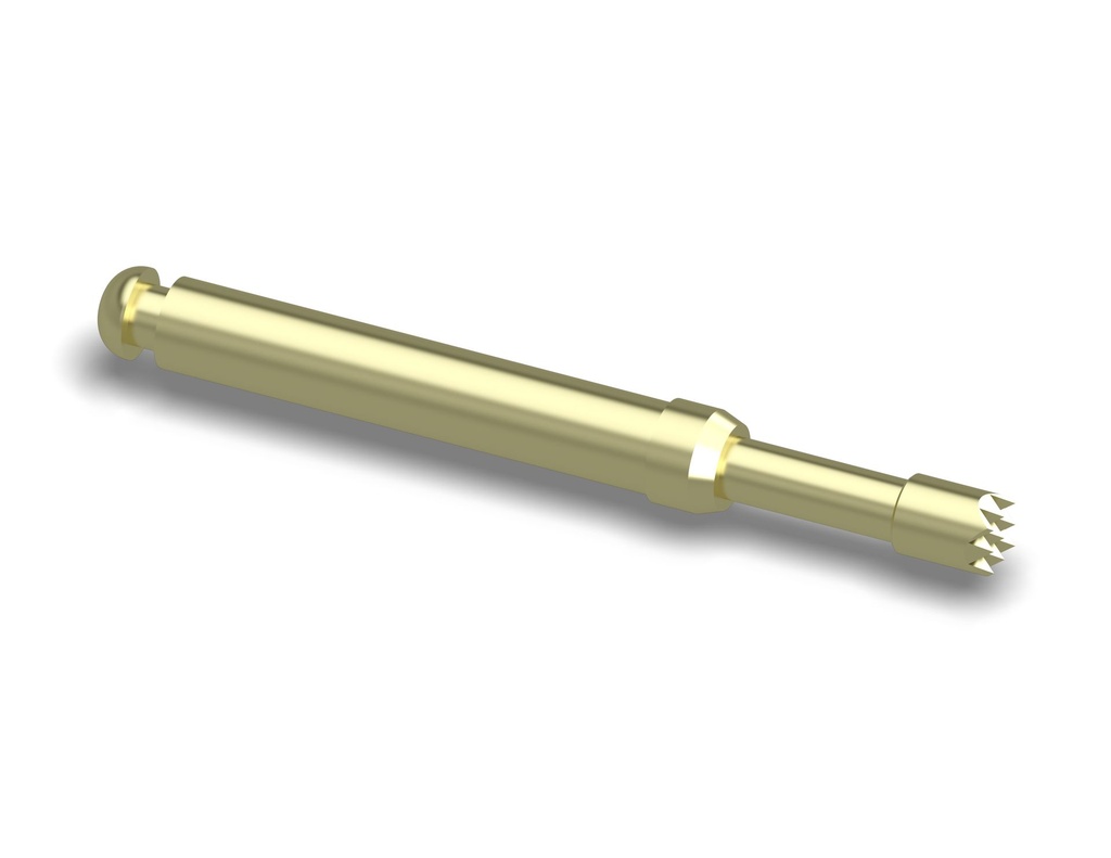 CP113/2H230B300G