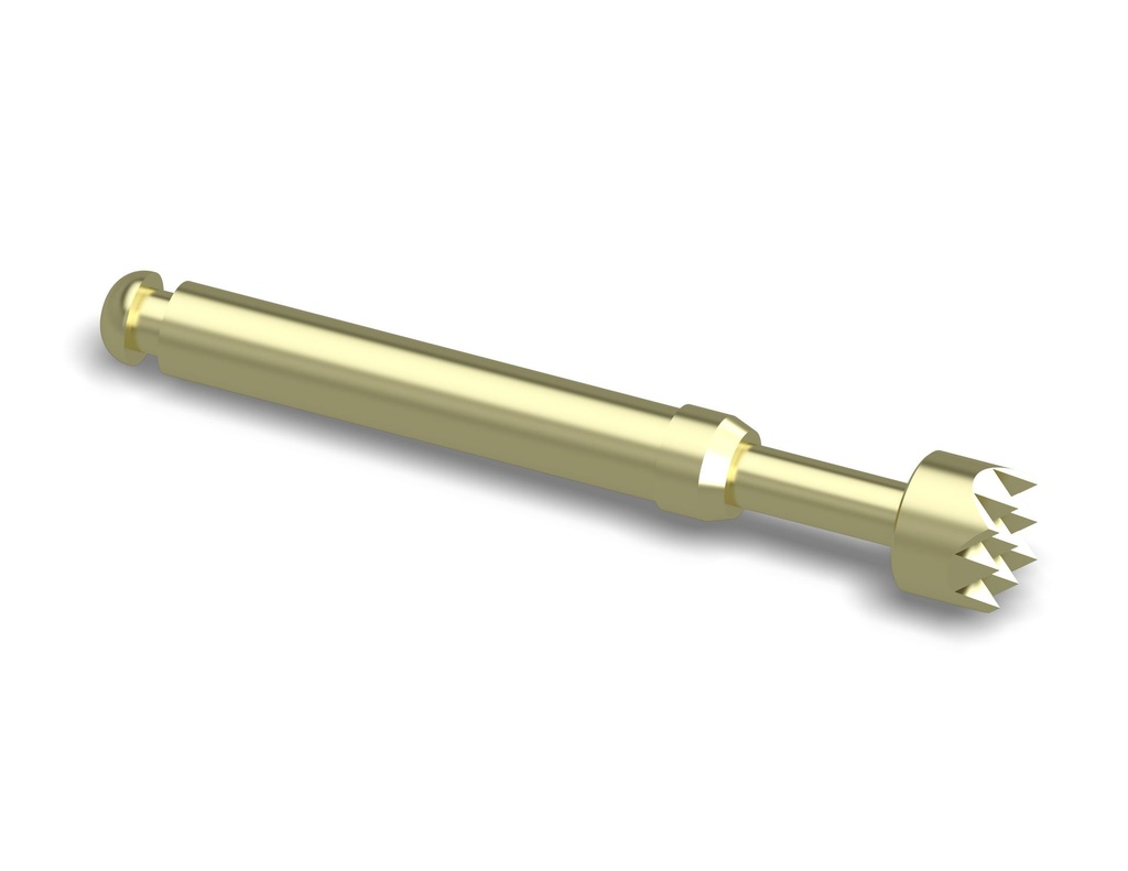CP113/2H400B150G